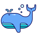 wieloryb