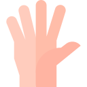 cinco dedos