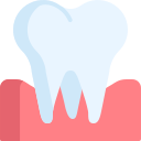 Molar