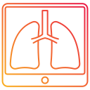 pulmones