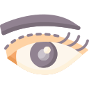 Eyelid