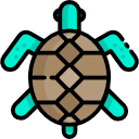 tortuga