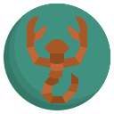 skorpion