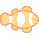 Рыба-клоун