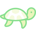 meeresschildkröte