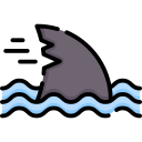 requin