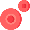 Red blood cells