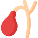 Gallbladder