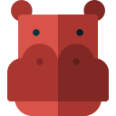 Hippopotamus