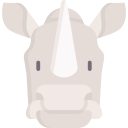 rhinocéros