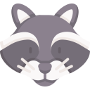 Raccoon