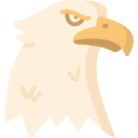 aigle