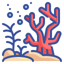 koraal