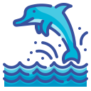 Dolphin