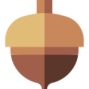 Acorn