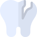 Tooth