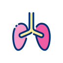 Lungs