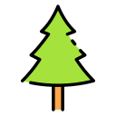 Pine tree