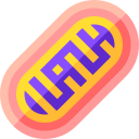 mitocondri
