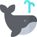 Whale