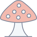 champignon