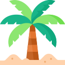 Palm tree