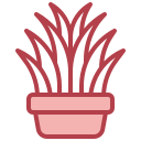vaso de planta