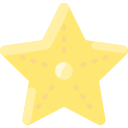 estrelas do mar