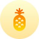 l'ananas