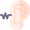 auditory