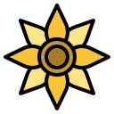 tournesol