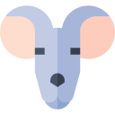 rat