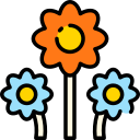 fiori