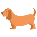 basset-hond