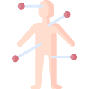 Endocrine system