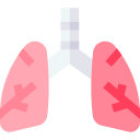 Lungs