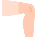 perna