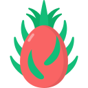 dragon de fruta