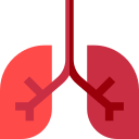 pulmones