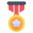 medaglia stella