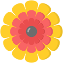 ringelblume