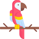 앵무새