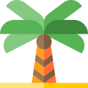 palmera