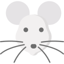 Rat