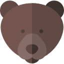 niedźwiedź