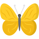 mariposa