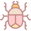 insect