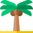 palmera
