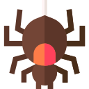 クモ