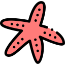 estrella de mar